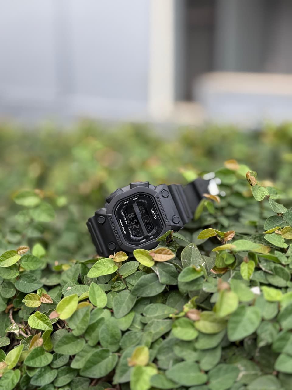 CASIO