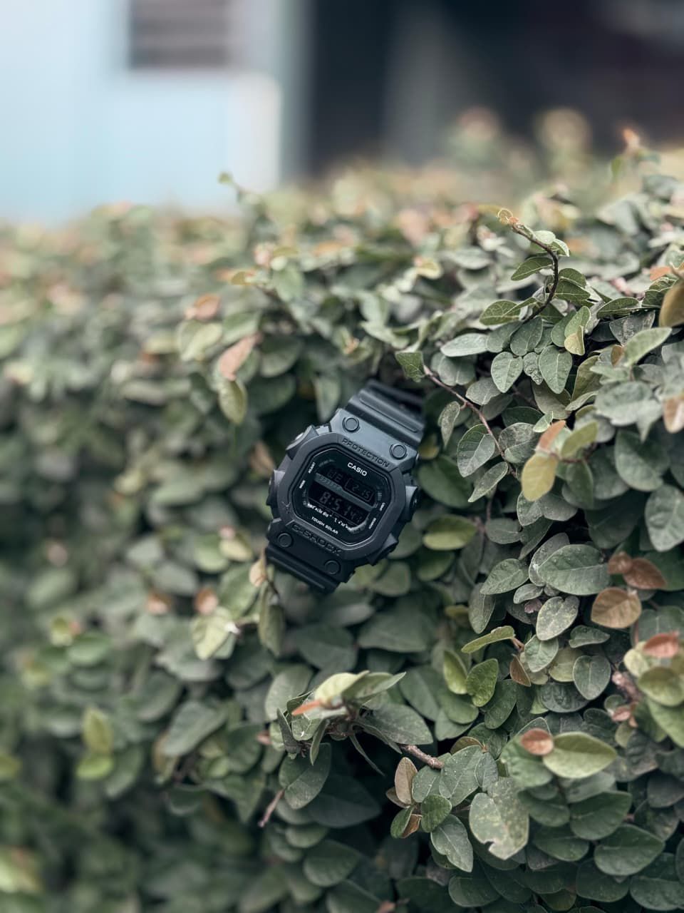 CASIO