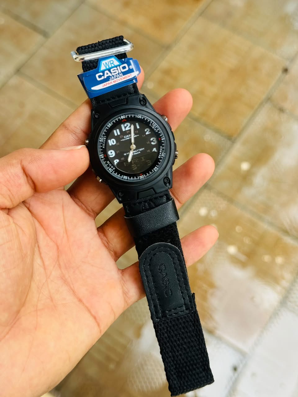 CASIO
