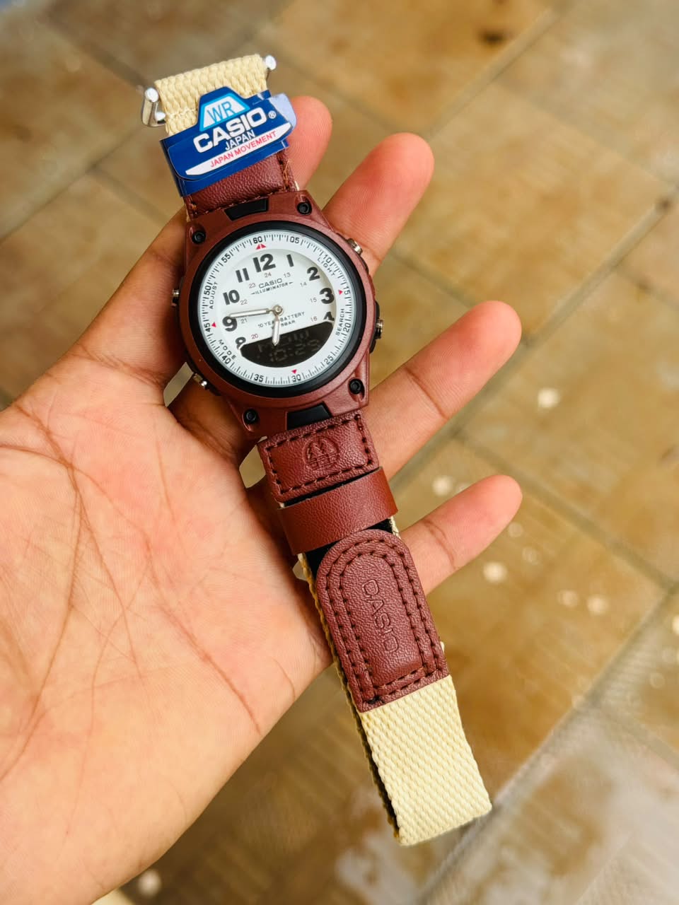 CASIO
